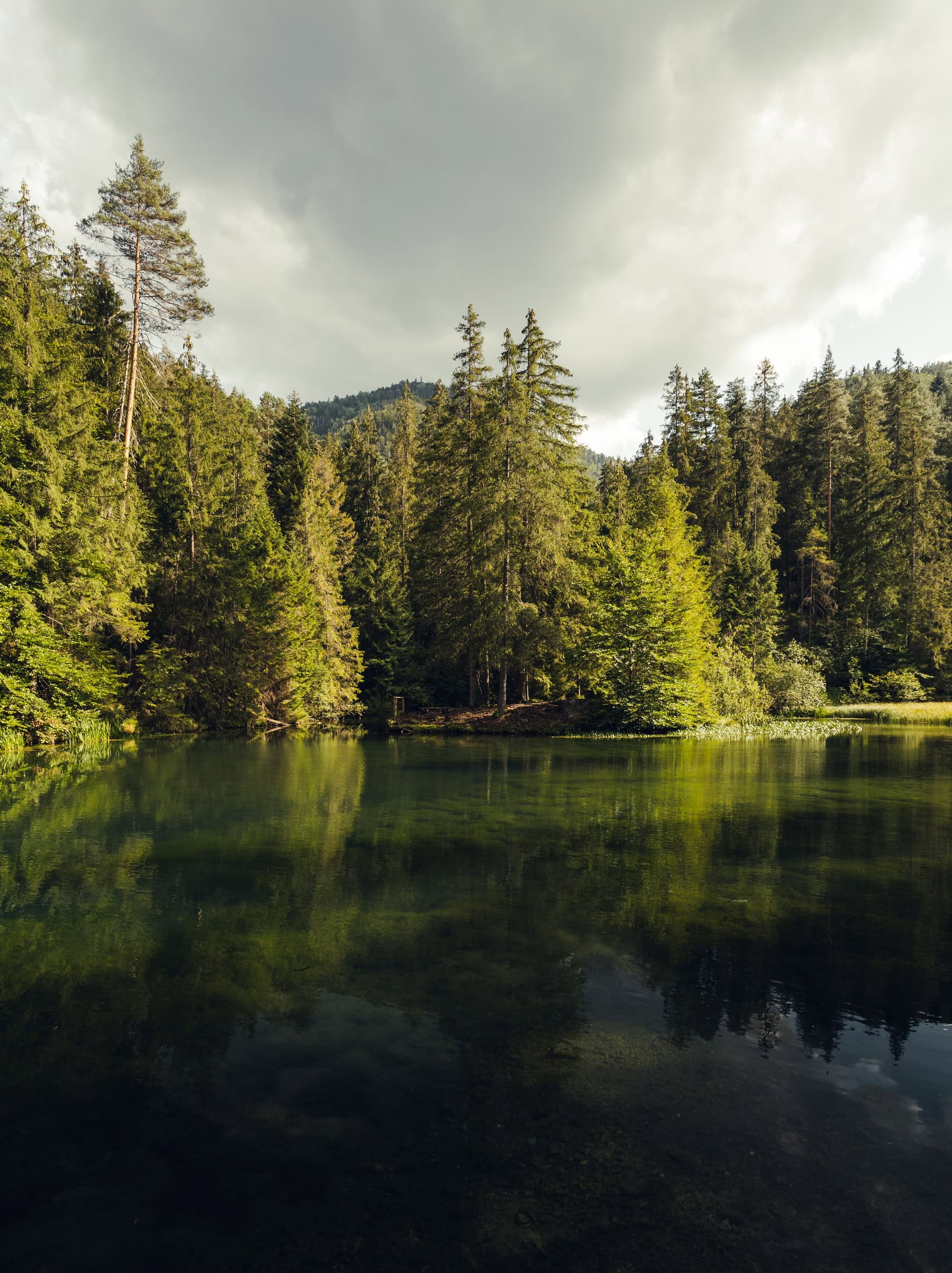 Water, Wastewater, and Energy Management